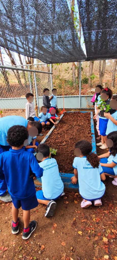 O mês de agosto foi de mãos na terra! Nossos alunos realizaram o primeiro grande plantio, assumindo a responsabilidade por seus próprios canteiros e aprendendo sobre compostagem na prática.