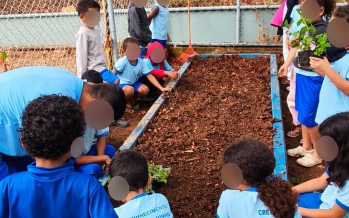 Horta Pedagógica: Cada turma da Escola Sonhém de Cima ganha seu canteiro